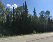 NHN Richardson Highway, Salcha image