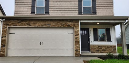 2816 Valley Farms Drive, Christiana