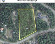 5462 S Timberline Drive, Big Lake image