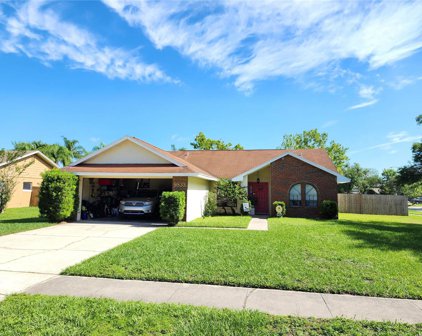 9833 Tattersall Avenue, Orlando