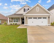 254 Paxton Loop, Dothan image