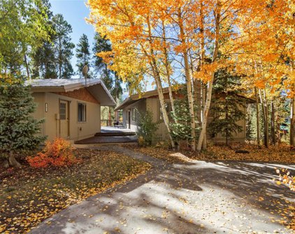 107 N Pine  Street, Breckenridge