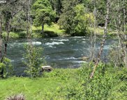 46489 GOODPASTURE RD, Vida image