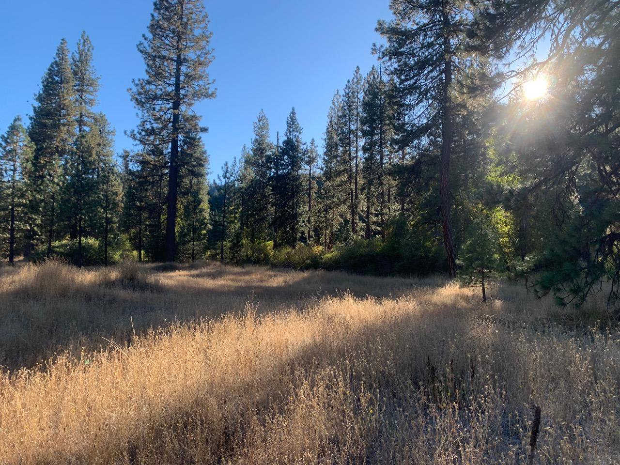 For sale in Hayfork 3240 Wildwood Road, Hayfork Humboldt County Real