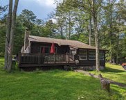 111 Minisink Trail, Glen Spey image