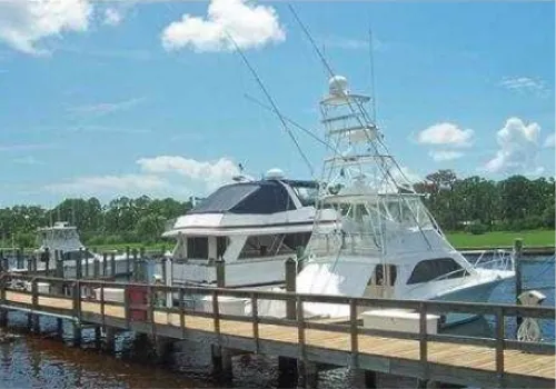 Palm Cove Marina