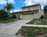 14705 Penguin Place, Tampa image