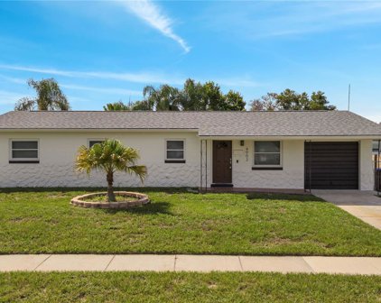 4902 Malarkey Street, Orlando