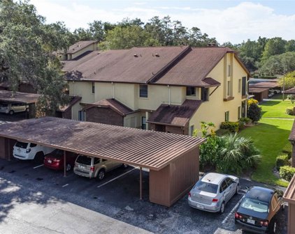 608 Fairmont Avenue Unit D, Safety Harbor