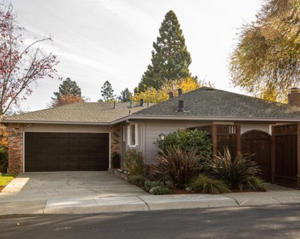 3704 Cass WAY, Palo Alto