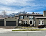 2874 Cloudburst Canyon Drive, Genoa image