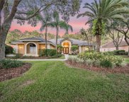 8946 Magnolia Chase Circle, Tampa image