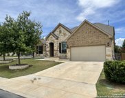 12902 Gypsophila, San Antonio image