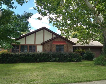 4304 Ilene Court, Orlando