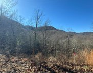 Tract 5 Caney Creek Rd, Pigeon Forge image
