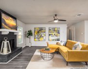 813 Little Angel Cove, San Antonio image