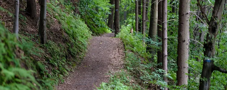 hiking