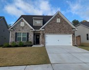110 Holly View Lane, Holly Springs image