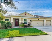661 Bluehearts Trail, Deland image