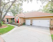 582 Summerwood Drive, Minneola image