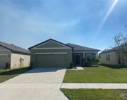 35380 White Water Lily Way, Zephyrhills image