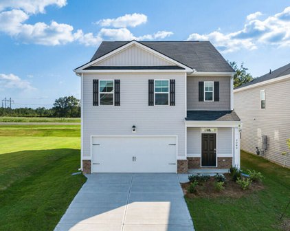 2089 SALTWATER Bend, Beech Island