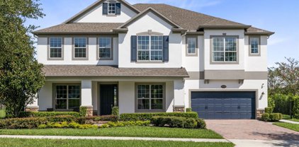 16209 Great Blue Heron Court, Winter Garden