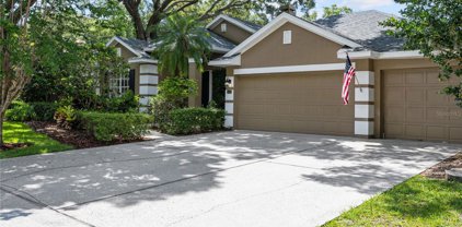 12036 Radbourne Street, Winter Garden