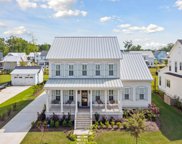 3813 Summerton Street, Mount Pleasant image