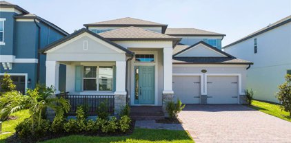 13737 Werrington Drive, Winter Garden