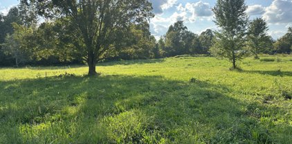 Clarksville Pike, Joelton
