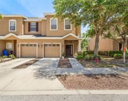 12814 Belvedere Song Way, Riverview image