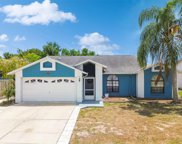 8436 Red Roe Dr, New Port Richey image