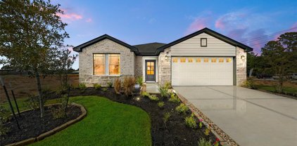 11728 Whirlaway Drive, Willis