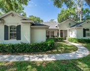 6219 Wild Orchid Drive, Lithia image