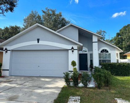 3212 Catherine Wheel Court, Orlando