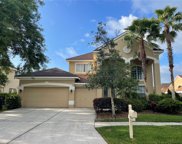 10205 Deercliff Dr, Tampa image