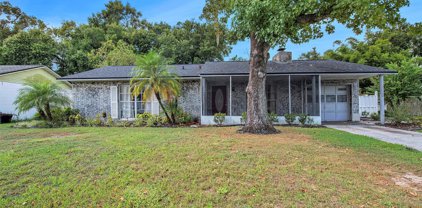 806 Chadsworth Avenue, Seffner