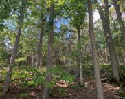 3469 Whitsetts Fork  Road, Glencoe image