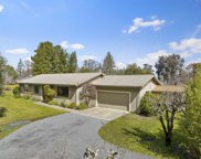 13228 Dupont Road, Sebastopol image