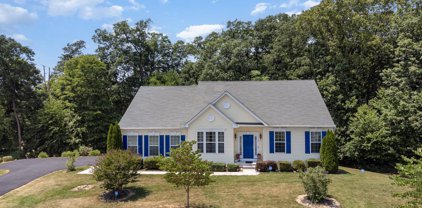 30 Shady Tree Ct, Delta