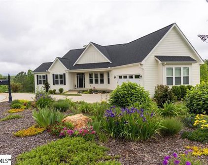 228 Deer Thicket Way, Taylors