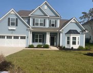 2019 Ludlow Place, Chapin image