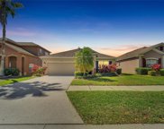 10635 Shady Preserve Drive, Riverview image
