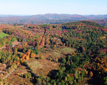 119 Schillhammer Road, Jericho