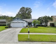 18244 Swan Lake Drive, Lutz image