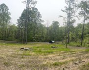Pump Run Trail, Fort Loudon image