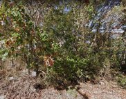 Amarr Drive, Shirley image