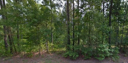 000 RANDALL HUNT Road, Thomson