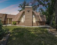 2512 Ayers Hill Court, Lutz image